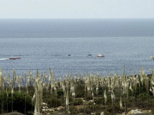 Tábua de marés